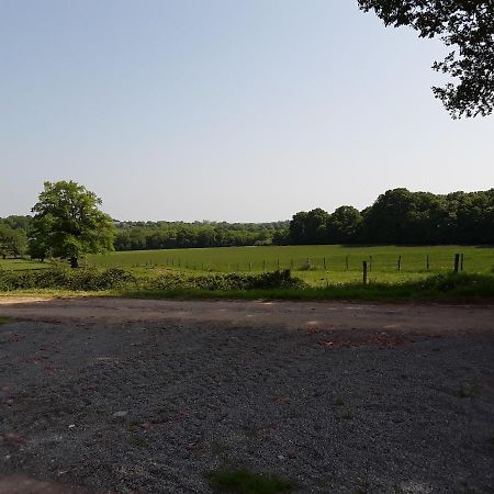 Domaine Du Bois Chaumet Bed & Breakfast Couzon Luaran gambar