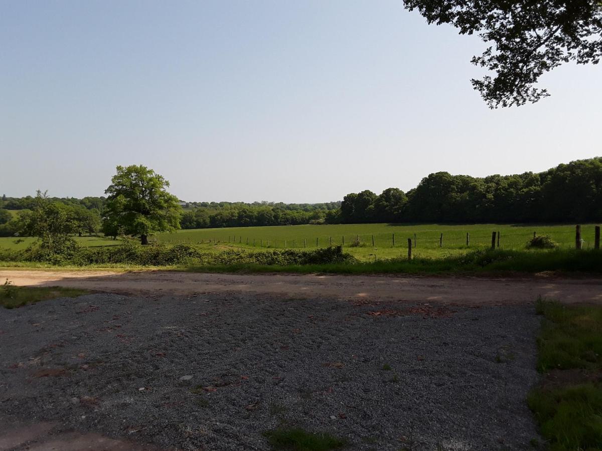 Domaine Du Bois Chaumet Bed & Breakfast Couzon Luaran gambar